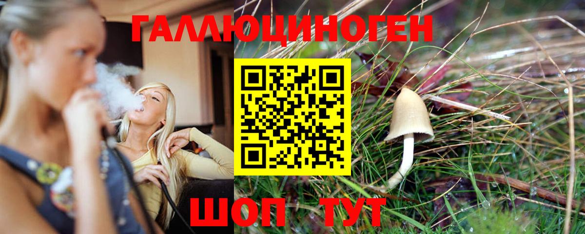 Гурьевск  Галлюциногенные грибы Psilocybe  Вход с VPN  Псилоцибиновые грибы прущие грибы 