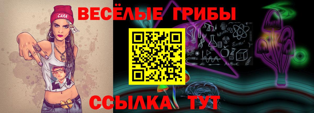 Псилоцибиновые грибы мухоморы Гурьевск